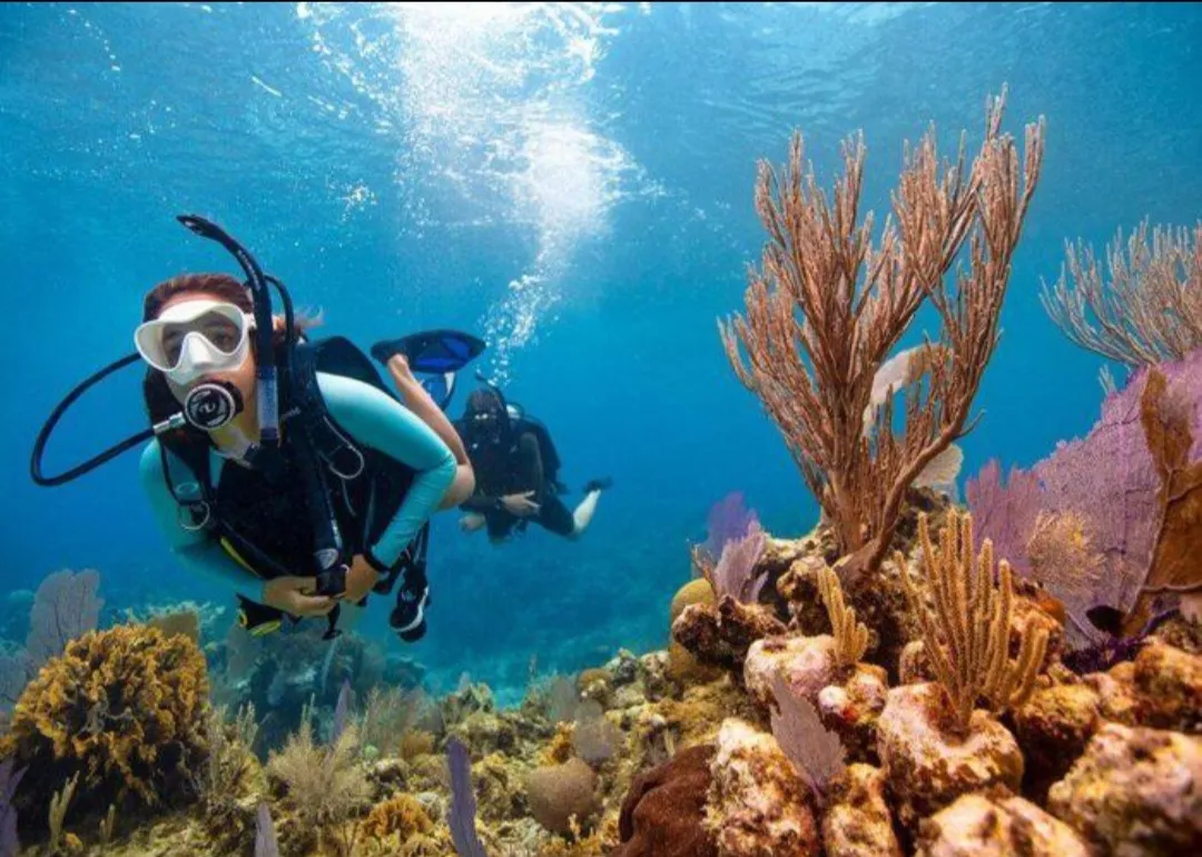 🌊🤿 Discover Scuba Diving Experience – El Gouna 🐠 Scuba Diving El Gouna /Screenshot_٢٠٢٦٠٧٠٢_١٨٤٦٣١_ChatGPT.jpg